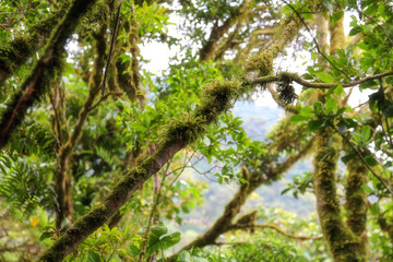 Pura Vida - This is beautiful Costa Rica