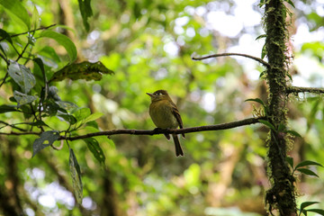 Pura Vida - This is beautiful Costa Rica