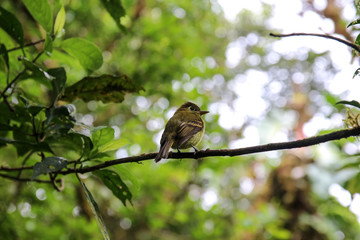 Pura Vida - This is beautiful Costa Rica