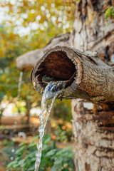 Obraz premium Natural wooden tree fountain. Mountain spring water flowing out of wooden gutter from rocky creek. Water Fountain Carved from Wood or tree in natural national park or garden. 