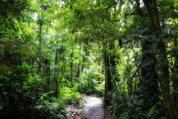 Pura Vida - This is beautiful Costa Rica