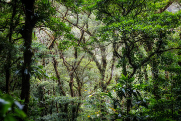 Pura Vida - This is beautiful Costa Rica