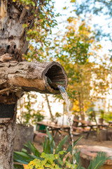 Natural wooden tree fountain. Mountain spring water flowing out of wooden gutter from rocky creek. Water Fountain Carved from Wood or tree in natural national park or garden. 