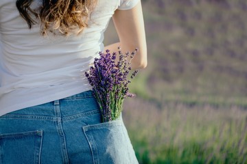 Bouquet of purple lavender flowers in the jeans pocket. Toned