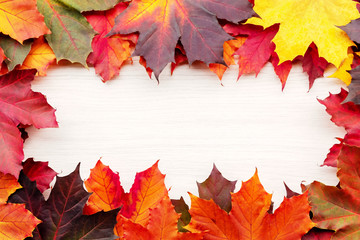 Naklejka na ściany i meble Frame of autumn maple leaves isolated on white background