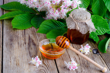 Fragrant chestnut honey in jar with blossom flowers. 