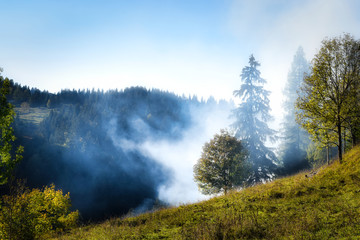 Rauch im Gebirgswald, Alpen in Bayern, Sudelfeld im Wendelsteingebirge