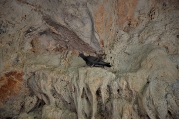 around the cave