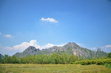 green view with the sky