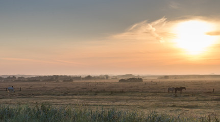 Beautiful landscape at the sunrise with the beautiful island of Langeoog, Northern Germany