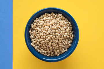 Sorghum Seeds in a Bowl