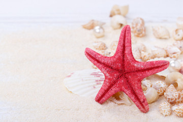 Fototapeta na wymiar Starfish and sea shells