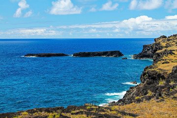 Fototapeta premium Coastline of Easter Island, with rugged cliffs and green vegetation in the foreground, leading to the deep blue ocean in the background. A stunning blend of natural beauty and remote scenery.