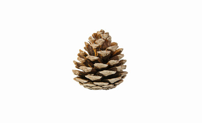 Christmas Pine cone isolated on white background