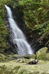 Fototapeta na wymiar 滝と岩～Waterfall&Rock.
