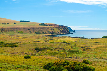 Fototapeta premium Coastal view of Easter Island, Chile, featuring the deep blue sea and towering mountains in the background. The island's rugged terrain and natural beauty make it a stunning destination