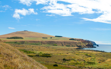 Fototapeta premium Coastal view of Easter Island, Chile, featuring the deep blue sea and towering mountains in the background. The island's rugged terrain and natural beauty make it a stunning destination