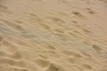 Fototapeta na wymiar sand dune with clear blue sky in sunny day