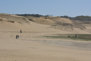 sand dune with clear blue sky in sunny day
