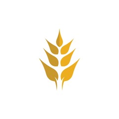 Wheat vector icon illustration design