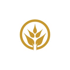 Wheat vector icon illustration design