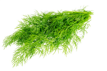 Bunch of fresh green dill isolated on white background.