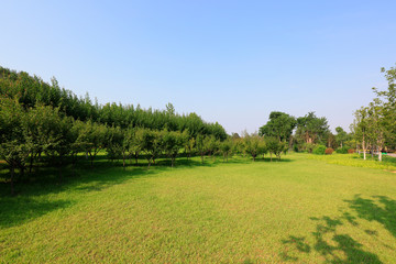 Trees and lawns are in the Geopark