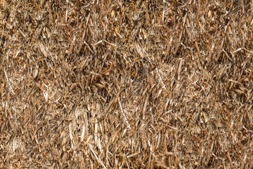 Hay or dry straw texture surface background. Dry straw or reeds texture. Straw or hay bale texture background as an agriculture farm and farming symbol of harvest time.