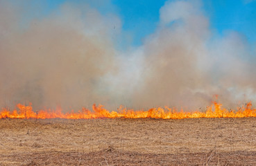 Fire Progressing across the Prairie