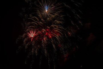 Beautiful Fireworks Exploding Aginst the Black Night Sky