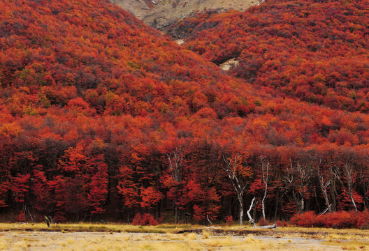austral autumn
