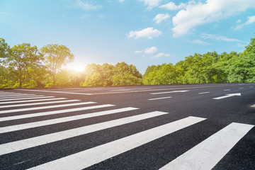 Road and Park Forest Landscape..