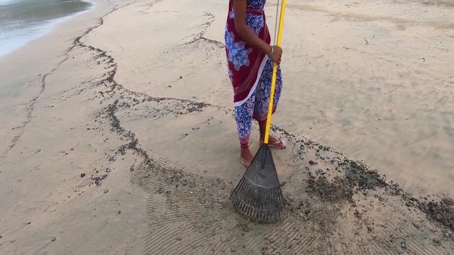 Indian lady wearing a saree, sweeping and cleaning the beach to get rid of itchy sea creatures called Blue Buttons (Porpita porpita)