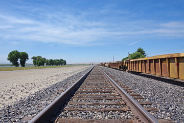 Fototapeta na wymiar Railroad tracks along a country road and trees on one side and rail transport wagons on the other