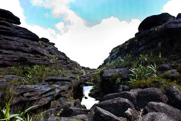 El origen del planeta © LauraRosa