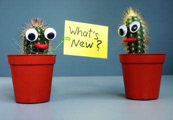 Two funny cactuses and question What’s new. © Vitalii Vodolazskyi