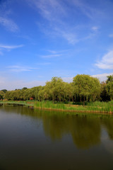 pond natural scenery, China