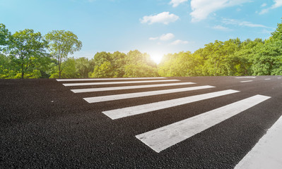 Road and Park Forest Landscape..