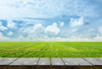 table with field