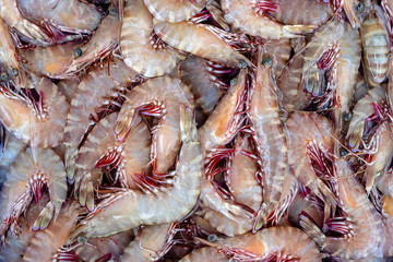 Sea fresh shrimps at street market in Thailand. Seafood concept.