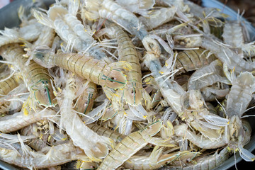 Sea fresh shrimps at street market in Thailand. Seafood concept.