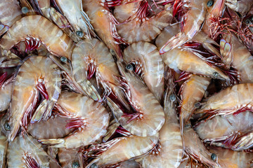 Sea fresh shrimps at street market in Thailand. Seafood concept.