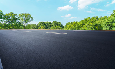 Road and Park Forest Landscape..