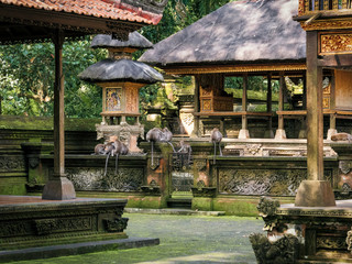 Singes dans le temple de la forêt sacrée de Ubud à Bali, Indonésie