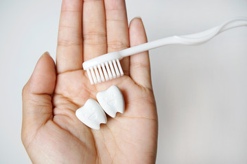 Hand Hold Gentely Healthy tooth with White Toothbrush.