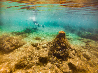 Fototapeta na wymiar view of rock sea bottom man swimming underwater on background