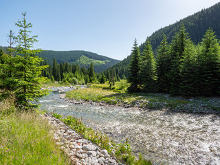 Bergbach im Transalpina Gebirge