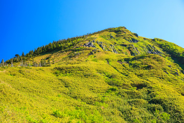 Obraz premium 初夏の岩菅山 長野県 山ノ内町