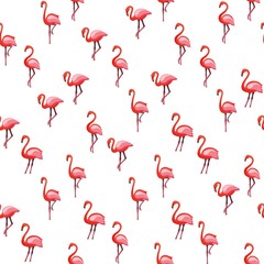 Pink flamingo seamless pattern on white background