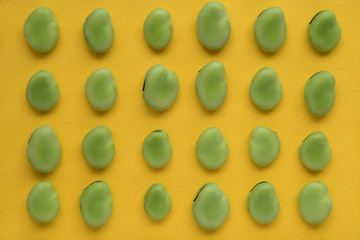 そら豆　背景黄色